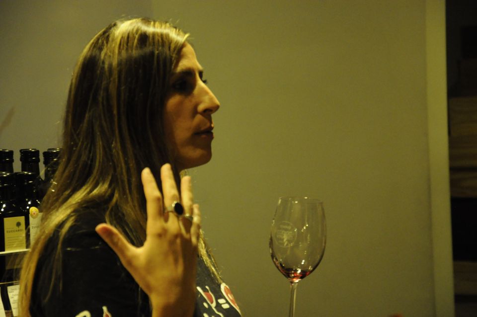 Mendoza: Premium Wine Tasting - Unique Highlights