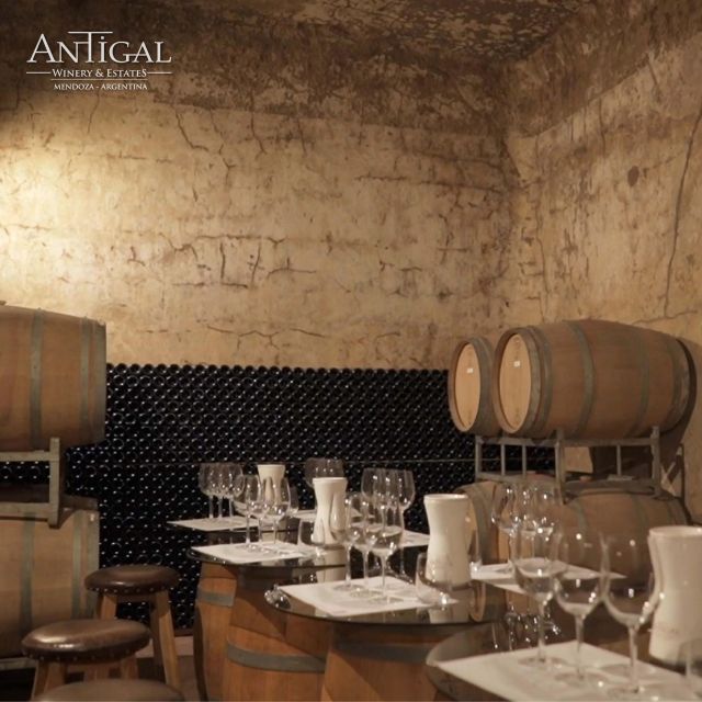 Mendoza: Private Wine Tour, Tastings and Lunch With Pairings - Itinerary Breakdown