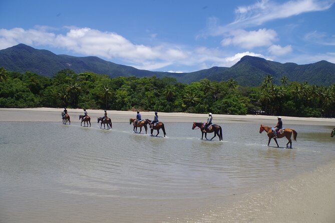 Mid-Morning Beach Horse Ride in Cape Tribulation - Health and Safety Guidelines