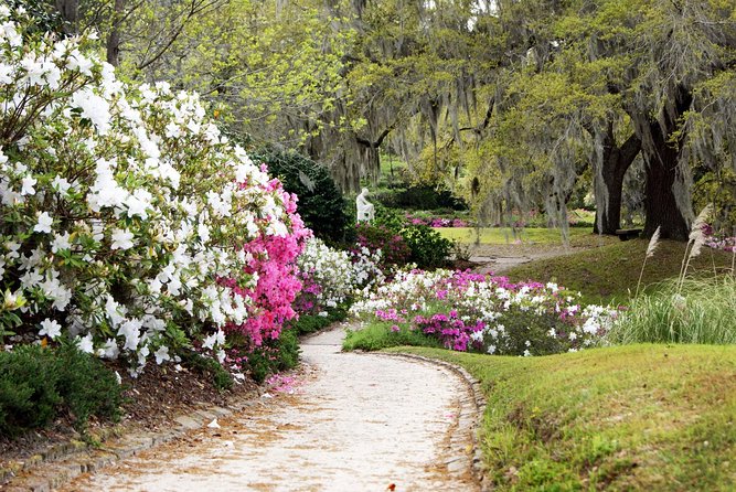 Middleton Place Admission With Self Guided Tour and Lunch - Dining Experience