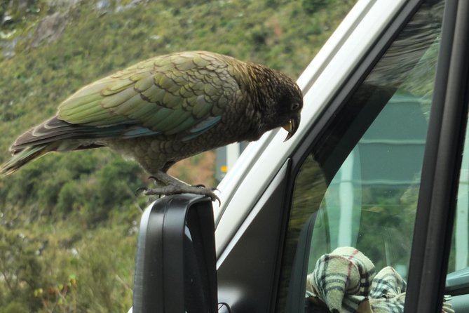 Milford Sound Discovery Tour - Meeting and Pickup Information