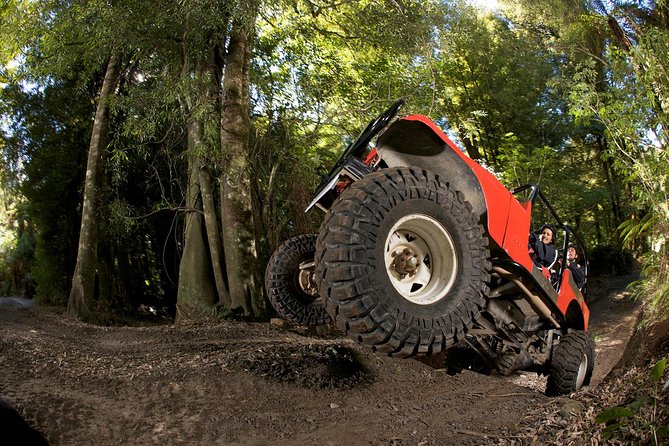 Monster 4X4 Thrill Ride at Off Road NZ - Accessibility Features