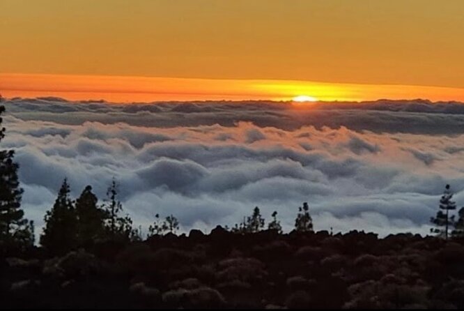 Monster Quad Teide Tour - Customer Feedback