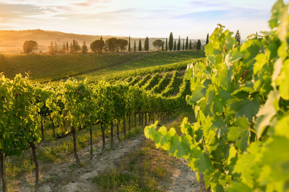 Montalcino: Brunello Wine Tasting Experience - Exploring Montalcino