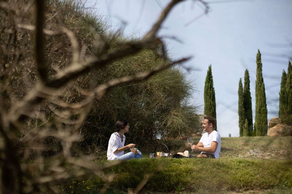 Montalcino: Vineyard Picnic With a Bottle of Wine - Whats Included