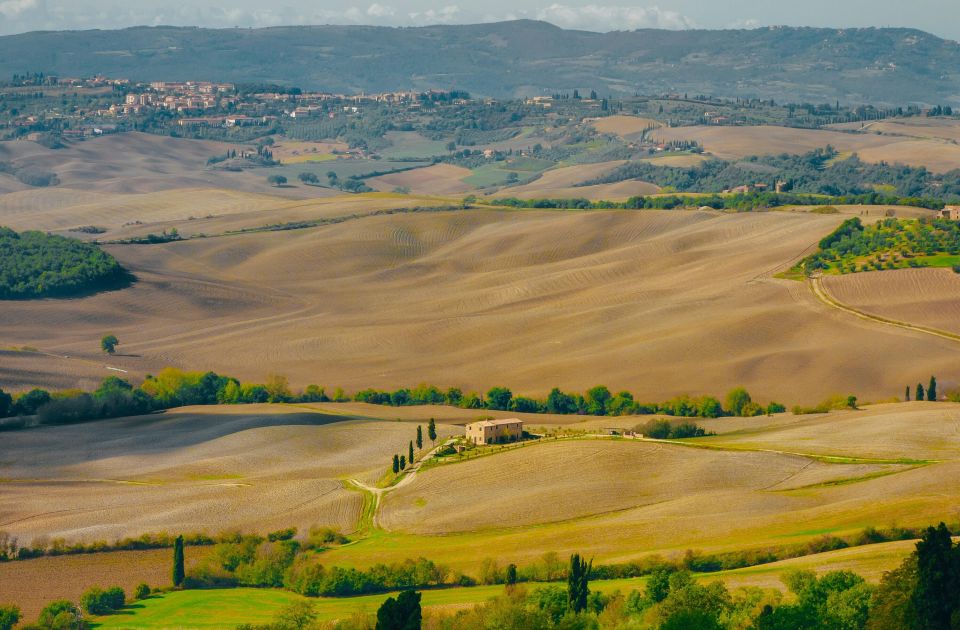 Montepulciano: Wine Tasting & Lunch in a Typical Winery - Key Highlights