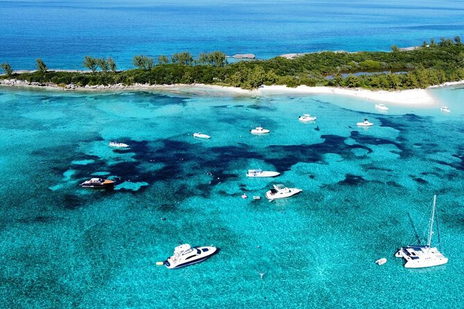 Morning - Private Snorkeling All-Inclusive Beachclub Experience - Check-in Process