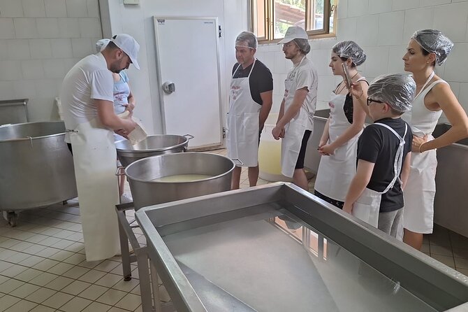 Mozzarella Experience With Tasting in Vico Equense - Booking and Cancellation Policies