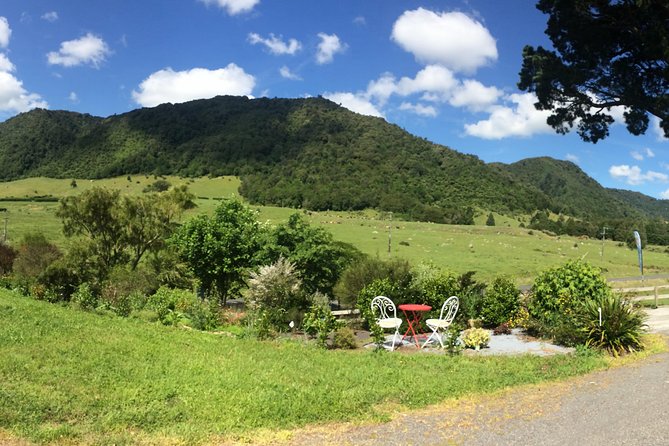 Mt. Te Aroha Bike Hire & Tours - End Points