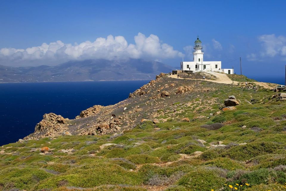 Mykonos: Private Tour Island With A Local - Included Services