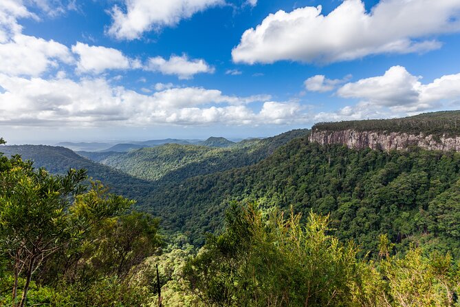 Natural Bridge & Springbrook Waterfalls Tour - Meeting Point and Start Time