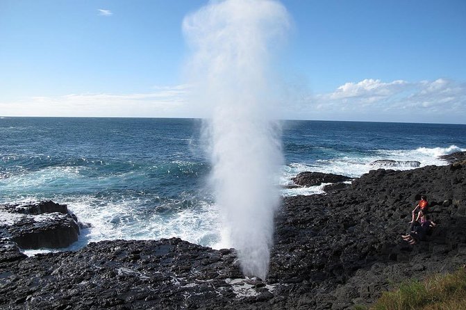 Oahu Ultimate Circle Island Tour Full Day Experience - Accessibility Features