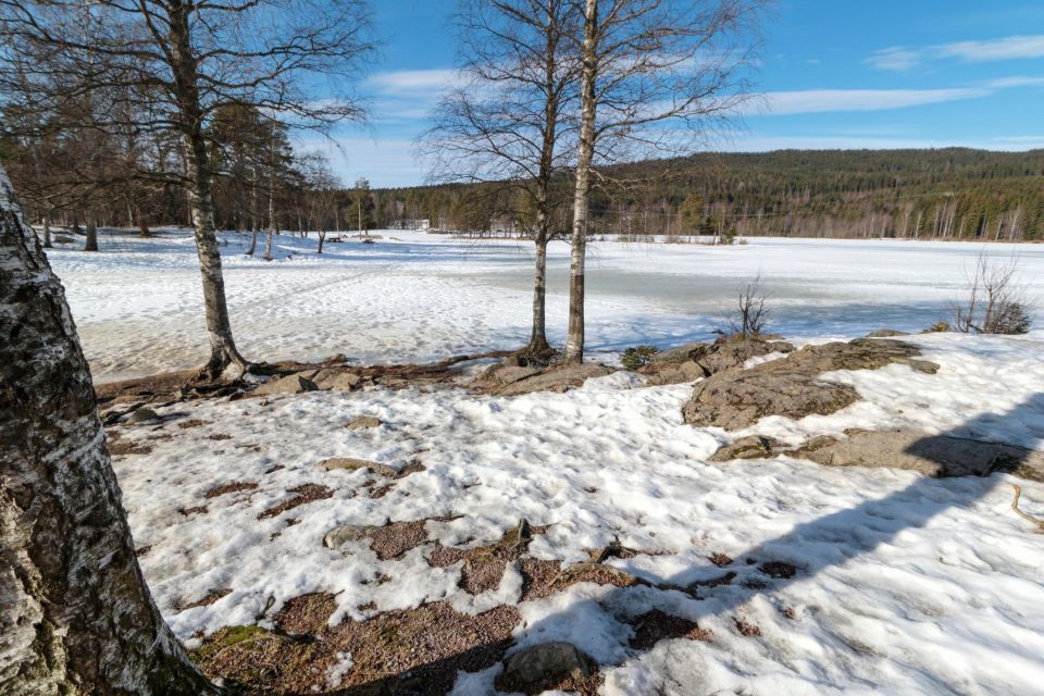 Oslo Summit: A Scenic Hiking Adventure to Vettakollen - Itinerary Overview