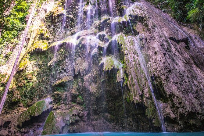 Oslob Whale Shark Group Tour With Sumilon Island & Tumalog Falls - Health and Safety Guidelines