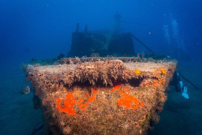 PADI Open Water Course in Playa De Las Americas - Pricing Information