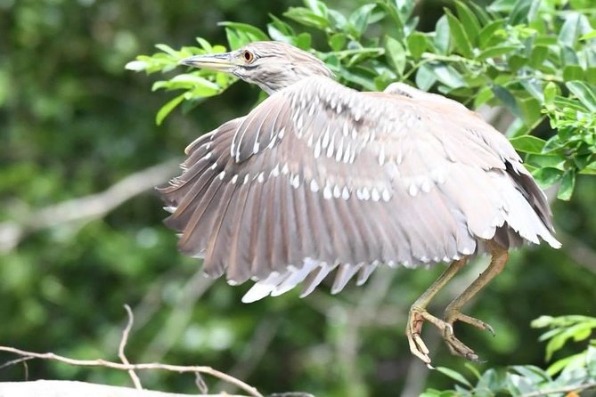 Palo Verde National Park Boat Tour - Inclusions and Amenities