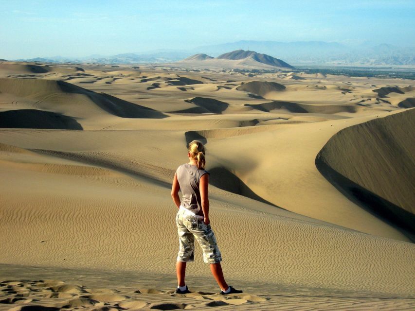 Paracas or Pisco: Private Huacachina Oasis Tour & Buggy Ride - Vineyard Experience