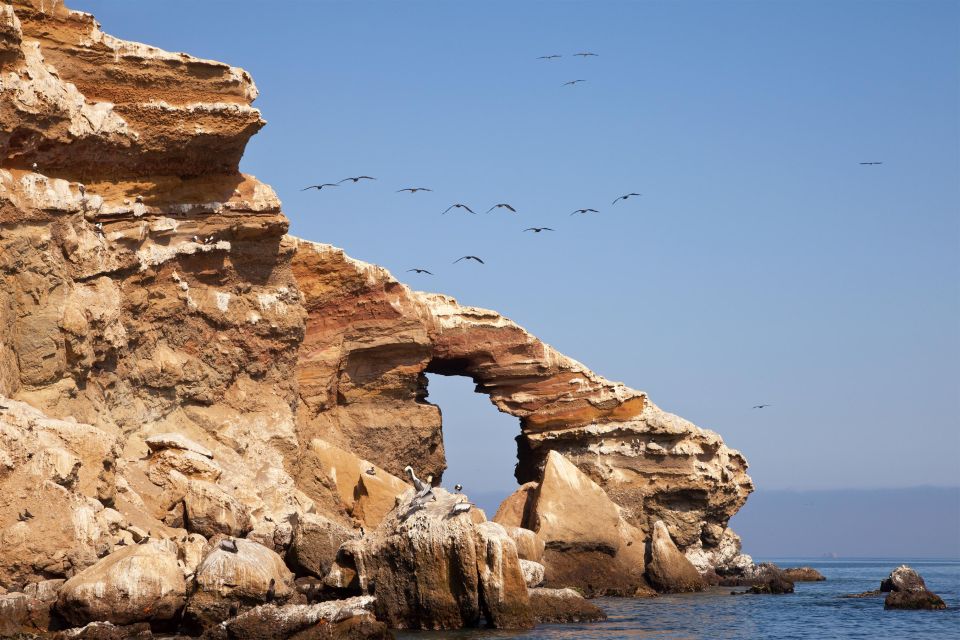 Paracas: Short Excursion to Ballestas Island | Sea Lions | - Tour Itinerary