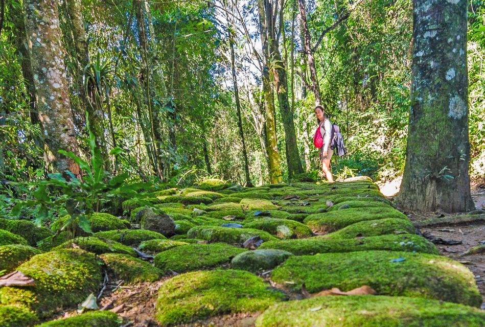 Paraty: Gold Trail Rainforest Hiking Tour - Itinerary and Schedule