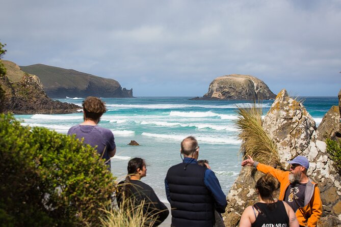 Peninsula Encounters + Wildlife Cruise - Exploring the Otago Peninsula