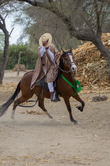 Peru, Chiclayo: 1 Day Horseback Riding and Ancient Pyramids - Ancient Sites to Explore