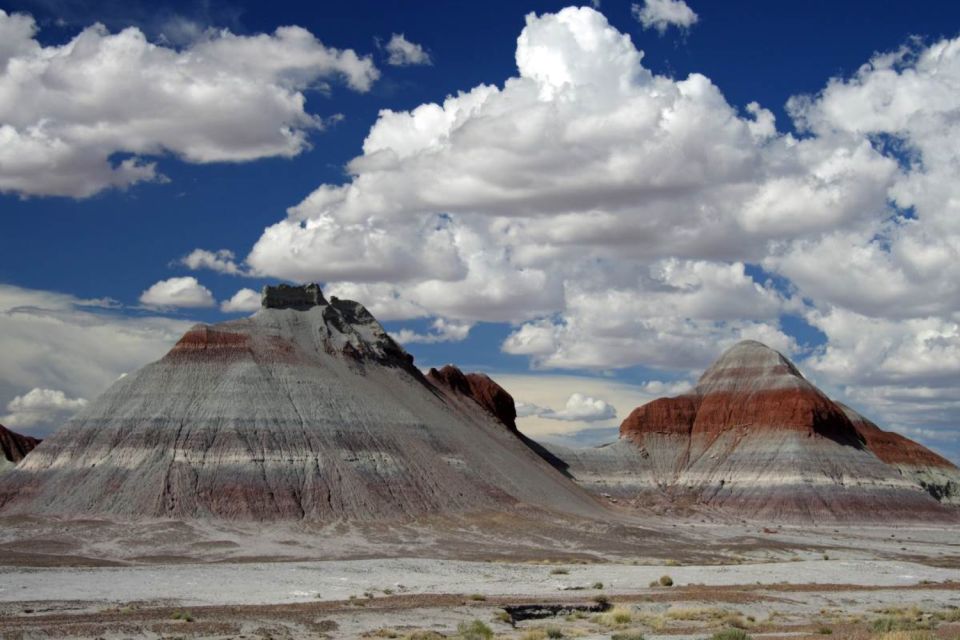 Petrified Forest National Park Self-Guided Audio Tour - Tour Features