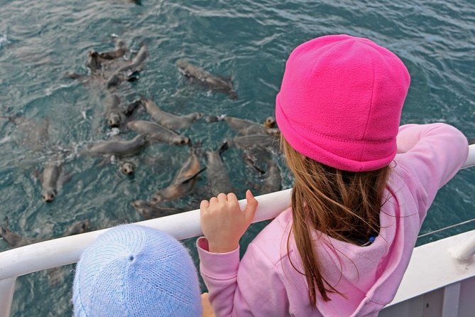 Phillip Island Seal-Watching Cruise - Important Booking Information