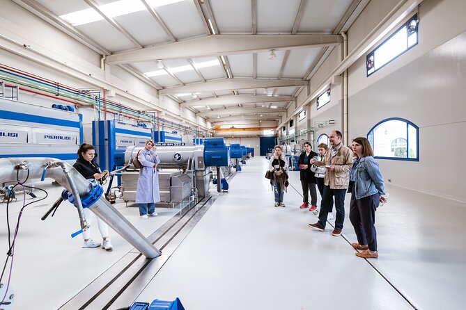 Picualia, Visit the Oil Mill & EVOO Tasting - Meeting Location