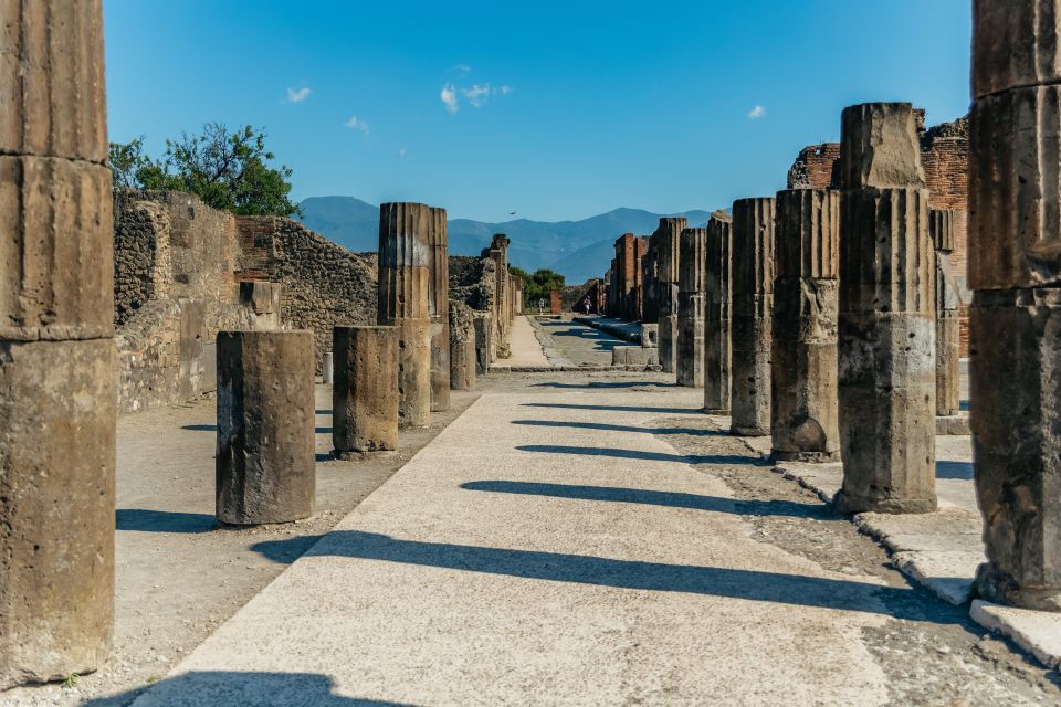 Pompeii: Archaeological Park Tour With Ticket on Request - Inclusions and Logistics