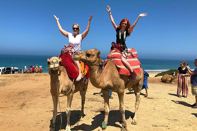 Private 4-Hour Tangier Tour - Accessibility Features