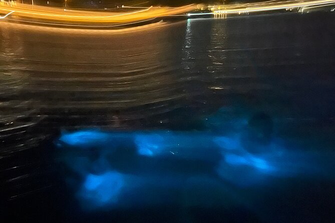 Private: Bioluminescence Tour - Customer Feedback and Reviews