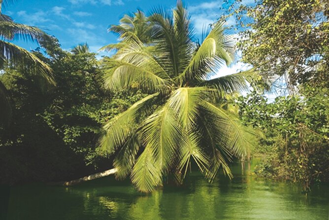 Private Boat Trip With Guide on the Most Beautiful Lagoon of Guadeloupe - Meeting and Pickup Details