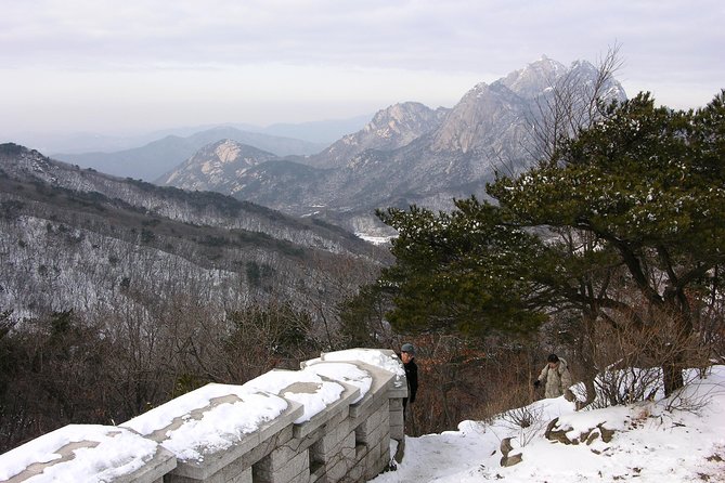 Private Bukhansan Hiking Tour (More Members Less Cost per Person) - Customer Reviews and Feedback