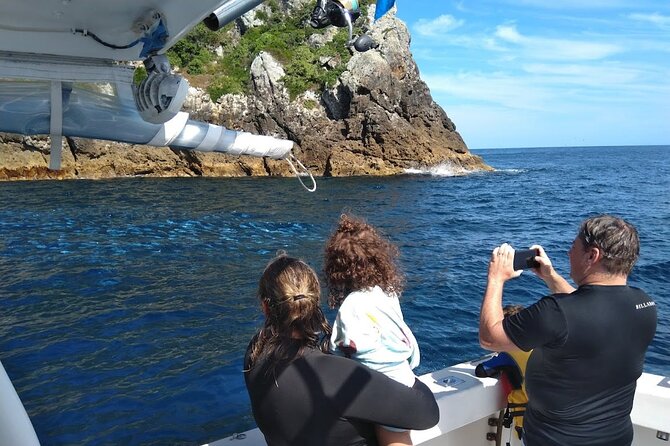 Private Charter 5 Hour Snorkel and Paddleboard the Poor Knights - 1 to 12 People - Schedule and Operating Hours