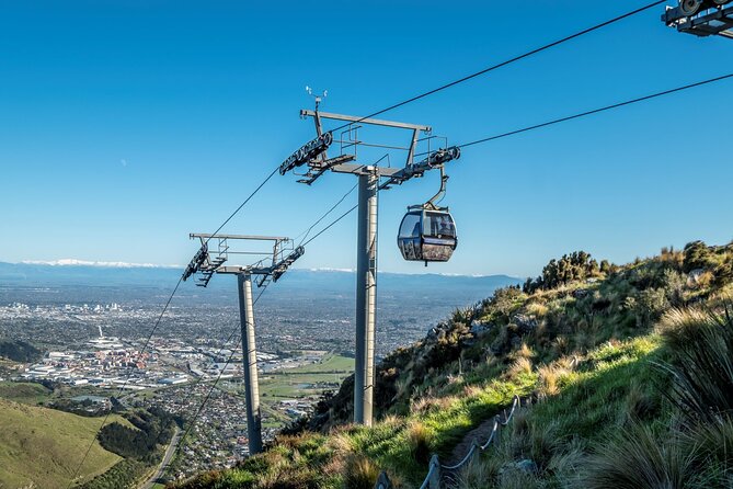 Private Cruise Ship Passengers Tour, Sightseeing in Christchurch - Tour Participation Details