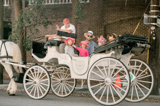 Private Daytime or Evening Horse-Drawn Carriage Tour of Historic Charleston - Customer Reviews