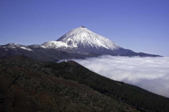 Private Excursions For Cruise Ship Passengers - Whats Included in Your Tour
