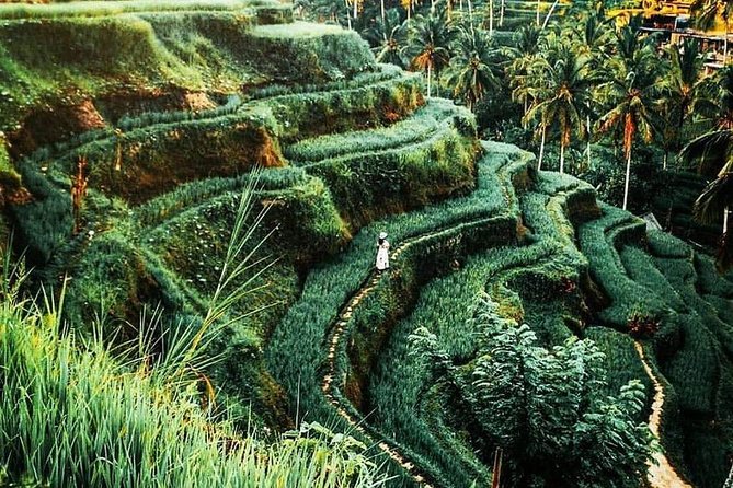Private Full-Day Tour: Balinese Ubud Temples and Sacred Monkey Forest - Pickup and Meeting Details