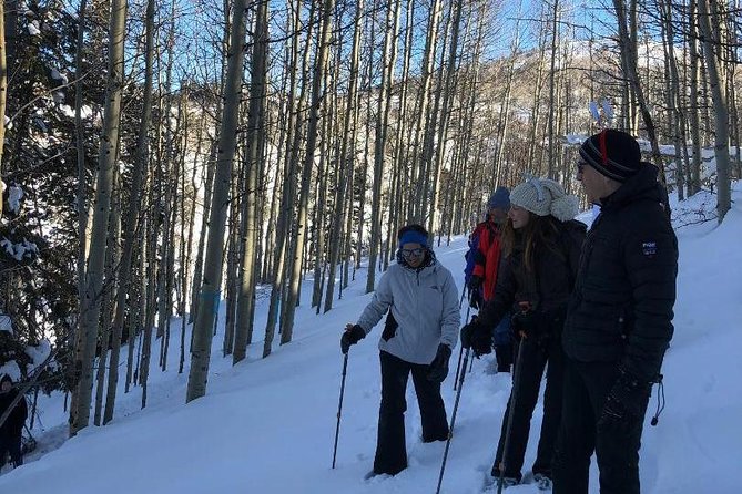 Private Guided Snowshoe Excursion in Park City (9:30am and 1:30pm Start Times) - Wildlife Viewing Opportunities