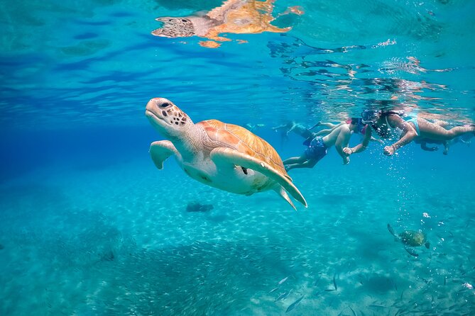 Private Island Hopping Boat Tour and View the Turtles - Beach Bar Lunch Experience