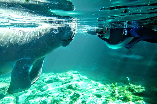 Private Manatee Tour for up to 10 - Included Amenities