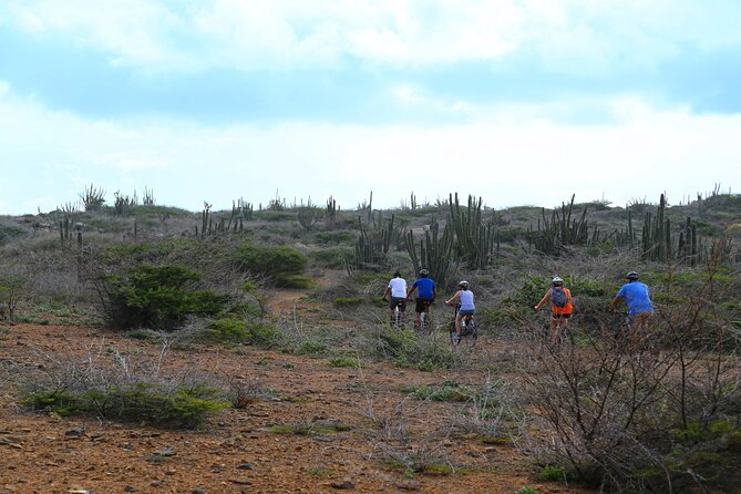 Private Mountain Bike Tour in Aruba - Experience on the Trail
