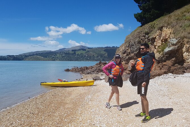 Private Sea Kayaking Tour From Christchurch/Lyttleton - Accessibility Considerations