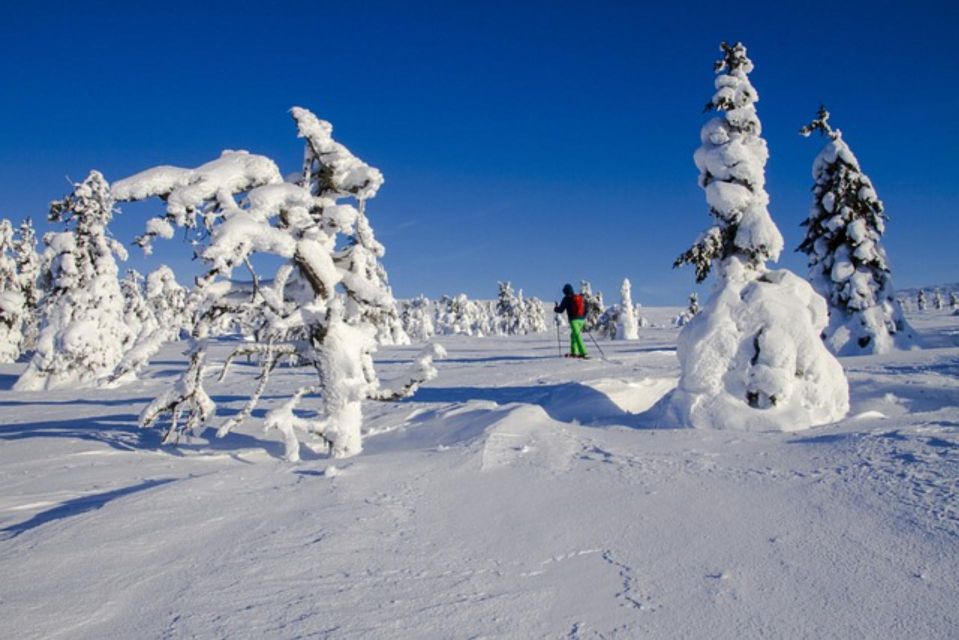 Private Snowshoeing Night Trip and Dinner in a Refuge - Whats Included in the Package
