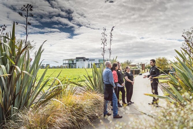 Private Tour From Auckland - Waitomo Glowworm Caves, Zealong Tea & Kiwi Bird - Exploring Zealong Tea Estate