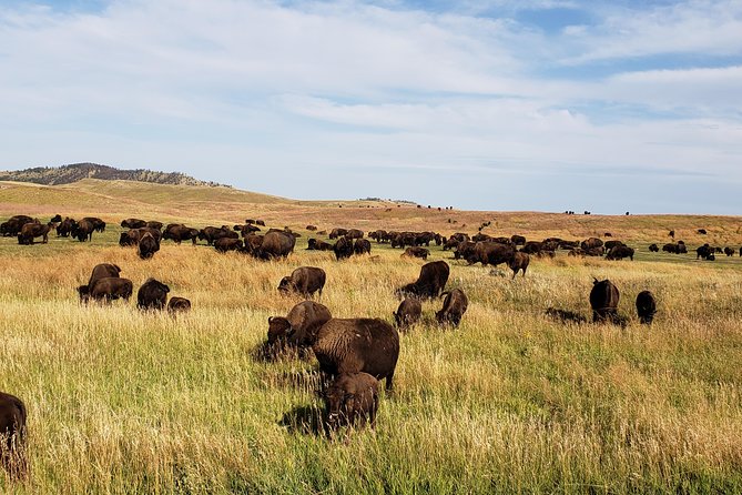 Private Tour of Mount Rushmore, Crazy Horse and Custer State Park - Featured Attractions