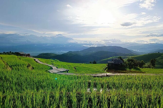 Private Tour to Doi Inthanon Including Twins Pagodas and Hiking - Meeting Points and Pickup