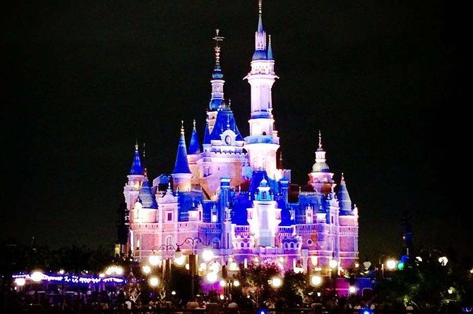 Private Transfer Between Shanghai Disneyland and City Hotel - Whats Included in Your Transfer