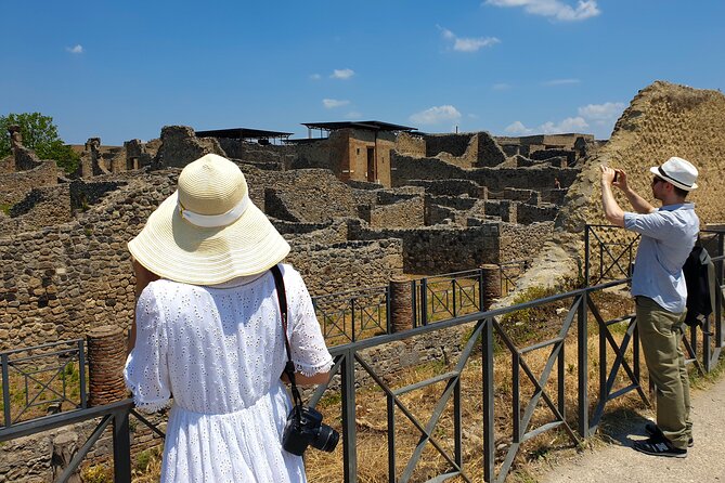 Private Transfer From Naples to Sorrento With Guided Tour in Pompeii - Tour Itinerary Highlights