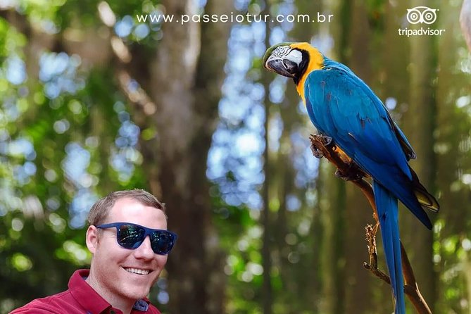 Private Transport With Guide to Brazil Falls + Bird Park - Exploring the Bird Park